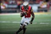 Stefon Diggs College Highlights