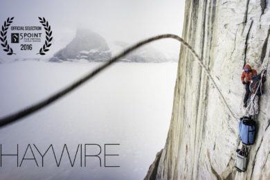 Haywire