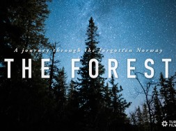 Przygoda przez zapomniane lasy norwegii – 4K