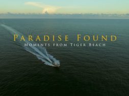 Raj odnaleziony: Chwile na Tiger Beach