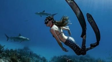 Ashleigh Baird – Freedive against all odds